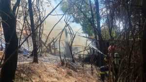 Incendiu la o anexă gospodărească în Curtea de Argeș! Arde și vegetația uscată din jur! 1 incendiu Curtea de Argeș