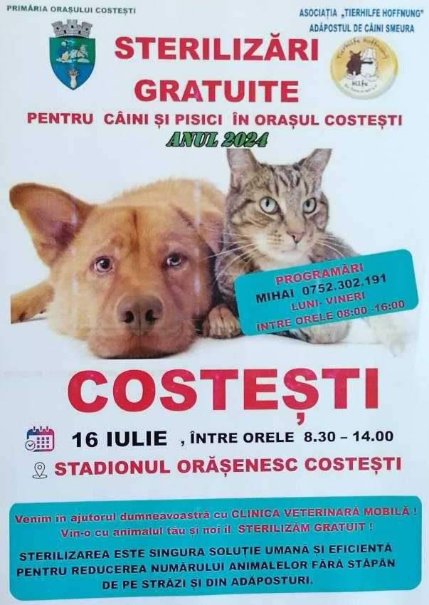 COSTEȘTI. Sterilizări gratuite pentru câini și pisici în data de 16 iulie 1 sterilizari la Costești