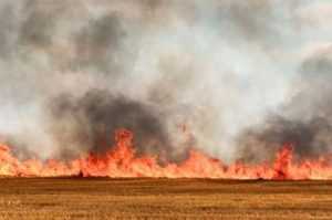 138 de incendii de vegetație în ultime 24 de ore. Peste 800 de hectare de teren mistuite de flăcări 19 450611380 884716177033055 2035507843626256381 n - 138 de incendii de vegetație în ultime 24 de ore. Peste 800 de hectare de teren mistuite de flăcări