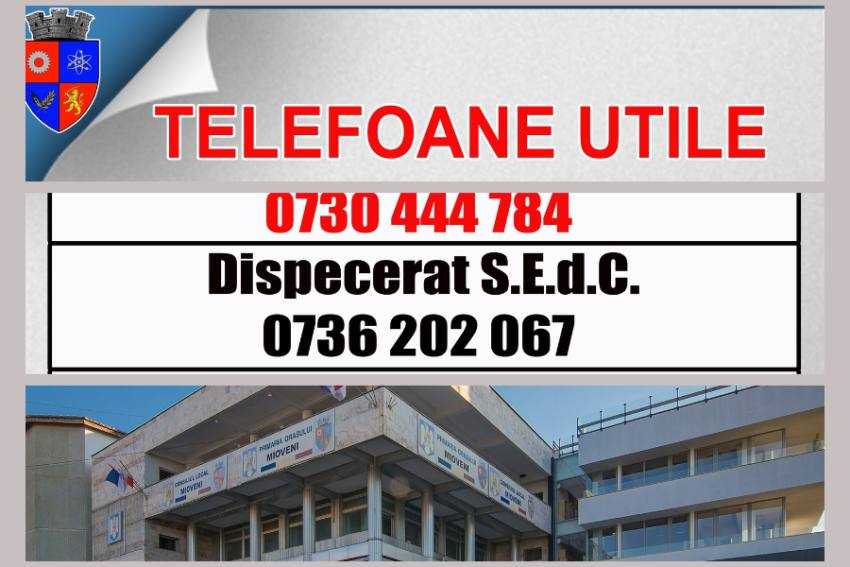 sedc Mioveni sedc Mioveni