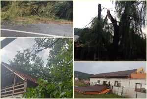 page 1 - Vântul puternic face ravagii în Argeș!