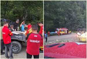 Incident grav la Rucăr! Cioban dus la spital după ce fost mușcat de urs 6 cats - Incident grav la Rucăr! Cioban dus la spital după ce fost mușcat de urs