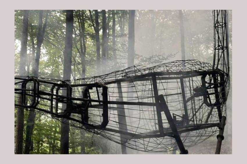 incendiu dino parc incendiu dino parc