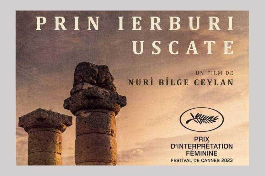 film pitesti film pitesti