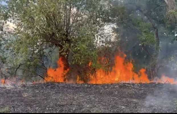 Peste 17 ha de teren distruse în Argeș în ultimele 24 de ore 2 incendiu de vegetație
