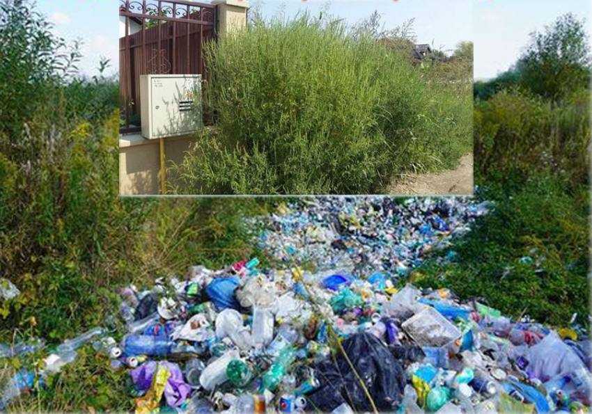 mioveni gunoi si iarba crescuta mare Sursă foto: Facebook Primăria Orașului9 Mioveni.