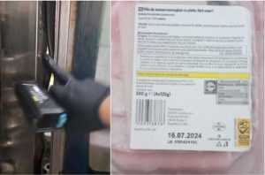 cats - Hotel din Eforie Nord-închis temporar de ANPC