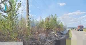 55f9e664 bc80 4375 b309 c62c75d2b945 - Val de incendii de vegetație în Argeș!