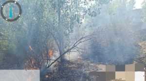 7aa26760 816b 4316 955e fdc67143f837 - Val de incendii de vegetație în Argeș!