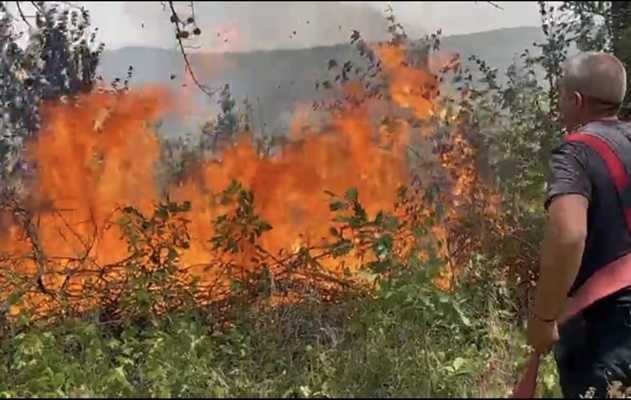 Alte două incendii de vegetație uscată în Argeș! Pompierii intervin la Mioveni și la Budeasa!