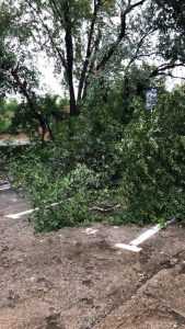 83e466ee 844c 4c38 81ee 0634be76beea - Vremea creează probleme în Pitești și Ștefănești!