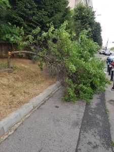 9a6102de 4216 4dcd 8bda 86990117e4e6 - Vremea creează probleme în Pitești și Ștefănești!