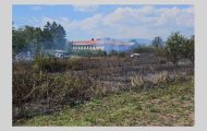 incendiu vegetatie