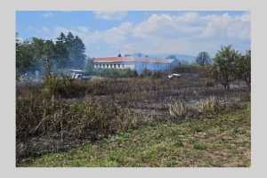 Incendiu de vegetație în localitatea Merișani! 1 incendiu vegetatie