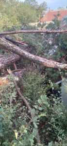 e4ec8e2d a17e 492d 919c 8a7071d2f55c - Vremea creează probleme în Pitești și Ștefănești!