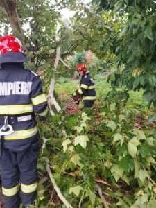 ed56429f 2175 490d aa5f 3cd5784423d3 - Vremea creează probleme în Pitești și Ștefănești!