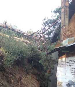 f220ff25 dfc1 453f 9238 563ccc21a066 - Vremea creează probleme în Pitești și Ștefănești!