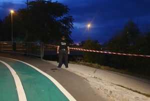 f3536d31 a9fb 4ac6 8fb3 37901f47649c - Parcul Lunca Argeșului, închis temporar din cauza copacilor afectați de vijelie