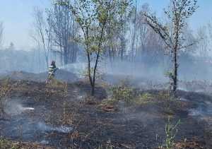 Incendiile de vegetaţie continuă să provoace pagube în Argeș 29 WhatsApp Image 2024 07 31 at 15.40.10 2 - Incendiile de vegetaţie continuă să provoace pagube în Argeș