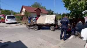 (Video) Argeș - Căruță lovită de mașină în Argeș! Copii răniți! 1 accident mașină căruță