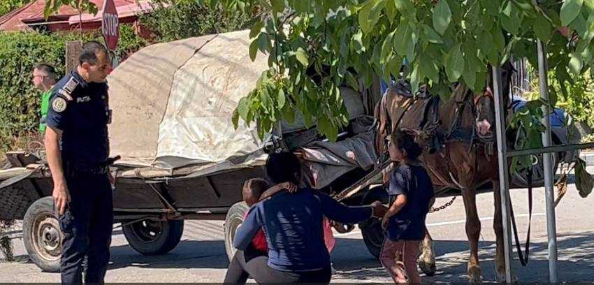 - (Video) Argeș - Căruță lovită de mașină în Argeș! Copii răniți!