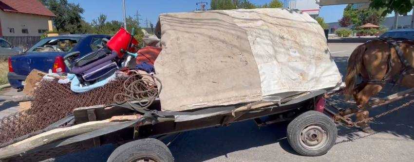 y - (Video) Argeș - Căruță lovită de mașină în Argeș! Copii răniți!