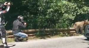 Motocicliști inconștienți pe Transfăgărășan! Și-au riscat viața pentru o poză 21 cats - Motocicliști inconștienți pe Transfăgărășan! Și-au riscat viața pentru o poză