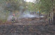 incendii vegetatie pompieri
