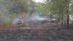 Cinci incendii în ultimele 24 de ore în Argeș! Au fost distruse aproximativ 51 ha de teren! 27 incendii vegetatie pompieri