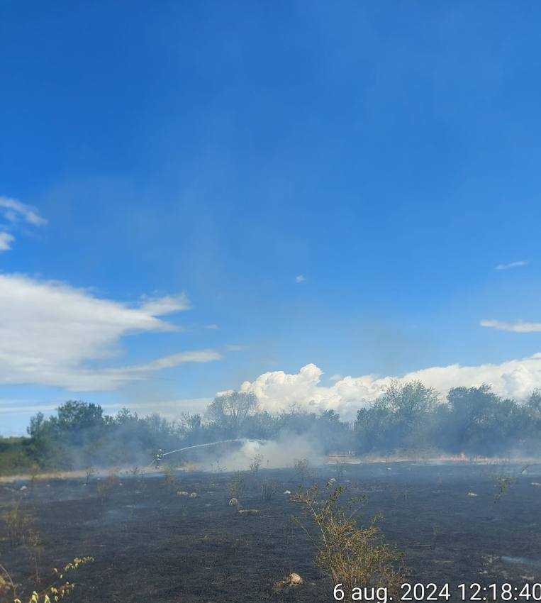 incendii vegetatie Arges 