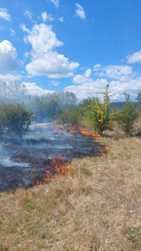 incendii vegetatie Arges 