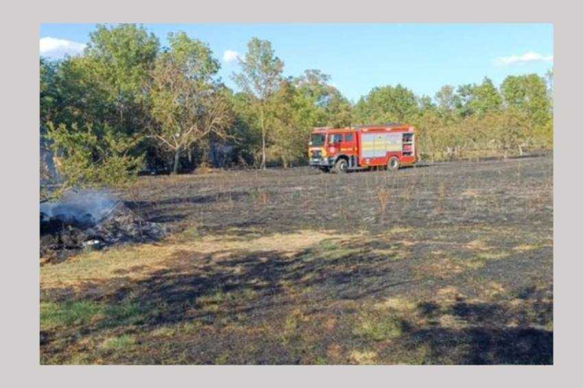 incendii vegetatie incendii vegetatie