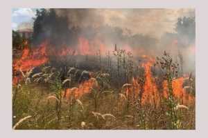 Alte 3 incendii de vegetație în Argeș! Pompierii intervin în Topoloveni, la Izvoru și Moșoaia! 28 Untitled Project 2 - Alte 3 incendii de vegetație în Argeș! Pompierii intervin în Topoloveni, la Izvoru și Moșoaia!