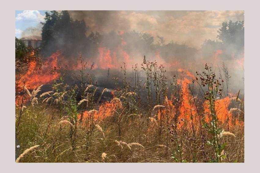 Untitled Project (2)