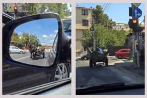 Căruțaș din Ștefănești amendat de polițiștii locali piteșteni 27 caruțaș amendat