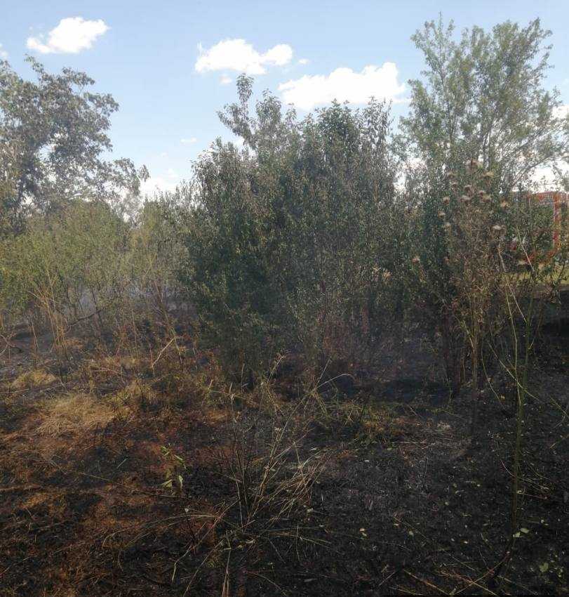 Alte 3 incendii de vegetație în Argeș! Pompierii intervin în Topoloveni, la Izvoru și Moșoaia! 3 incendii vegetație Arges