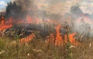 incendii vegetație Arges