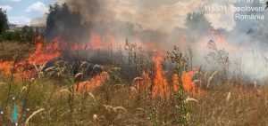 Ziua și incendiile de vegetație în Argeș! Stop arderilor necontrolate! 1 incendii vegetație Arges