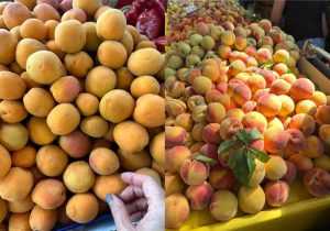 Sursa foto: Facebook Mihaela Bilic.