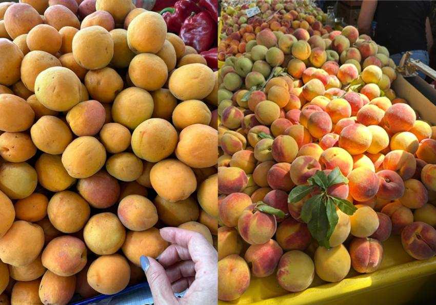 Sursa foto: Facebook Mihaela Bilic.