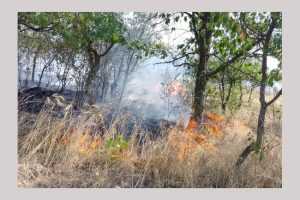 Un alt incendiu de vegetație a izbucnit în comuna Poiana Lacului 22 incendiu vegetatie Argeș