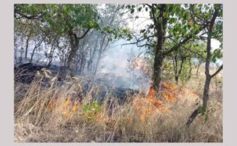 incendiu vegetatie Argeș