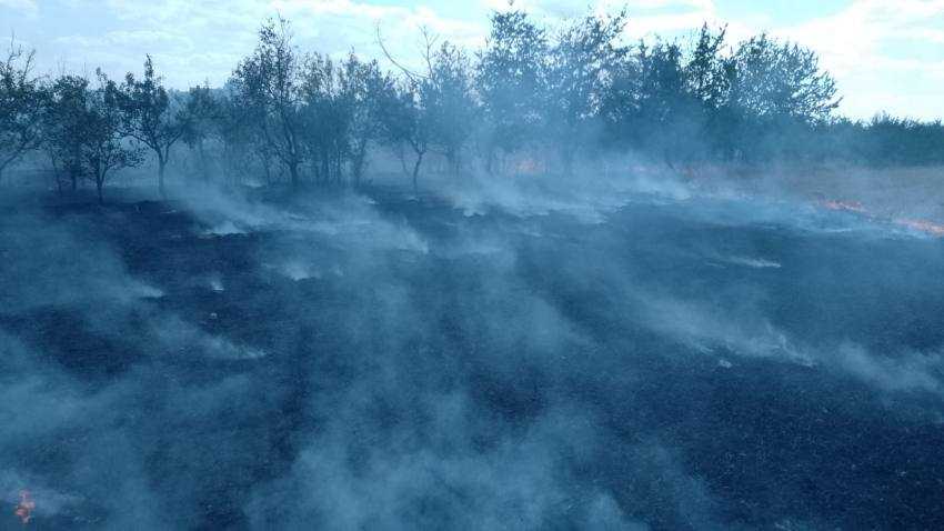 WhatsApp Image 2024 08 11 at 15.11.07 - Un alt incendiu de vegetație a izbucnit în comuna Poiana Lacului