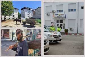 amenzi politia locala Pitești