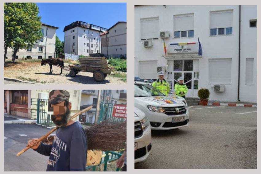 amenzi politia locala Pitești