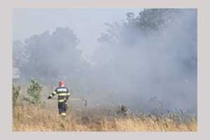 incendiu vegetație