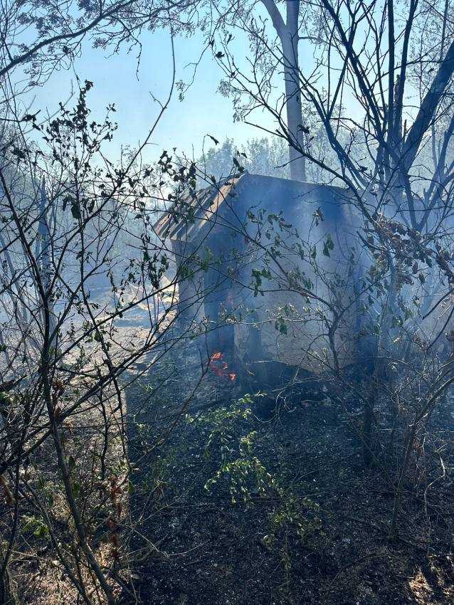 Incendiu într-o gospodărie din Argeș! Intervin pompierii 2 WhatsApp Image 2024 08 12 at 11.08.47 - Incendiu într-o gospodărie din Argeș! Intervin pompierii