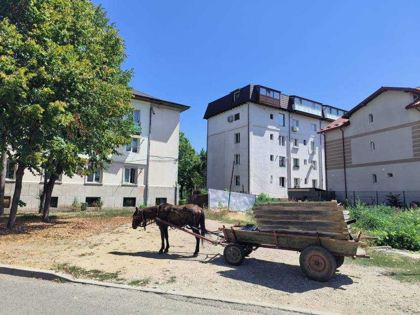 amenzi politia locala Pitești