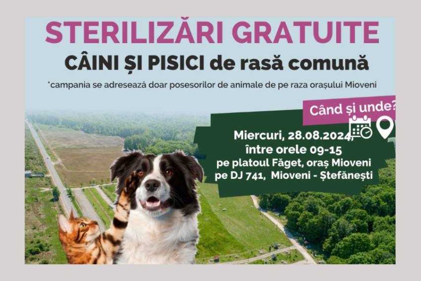 sterilizari Mioveni sterilizari Mioveni