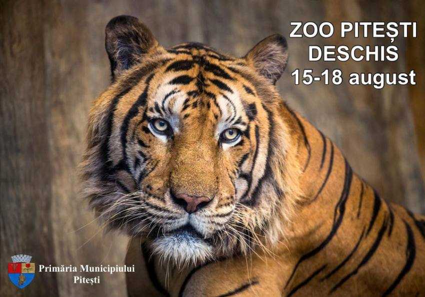 Sursă foto: Primăria MUnicipiului Piteșltoi